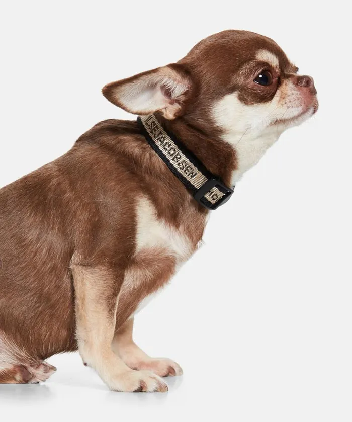 Accessories Ilse Jacobsen Vov and Vuf Dog Collar Extra Small 8211 Black Platin Accessories Ilse Jacobsen Vov and Vuf Dog Collar Extra Small 8211 Black Platin