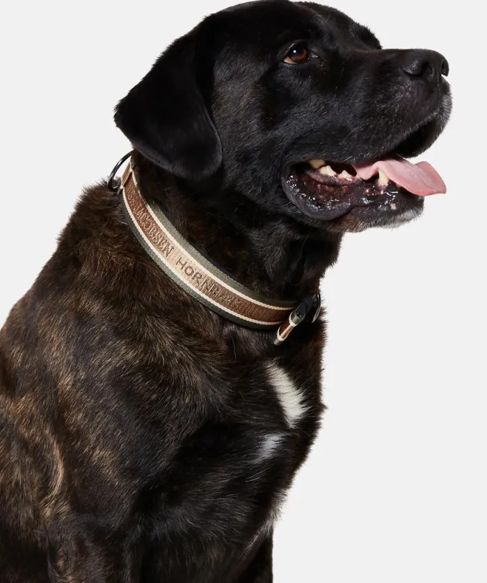Accessories Ilse Jacobsen Vov and Vuf Dog Collar Large 8211 Army