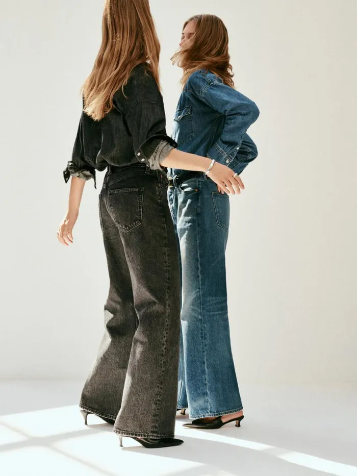Alex Mill Alek Relaxed Wide Leg Jean Paris Medium Wash Women Pants