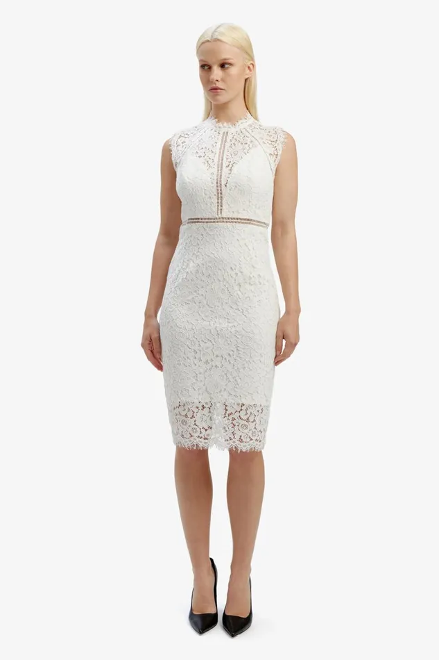 Bardot Occasion Dresses Women Lace Panel Dress In Orchid White Orchid White