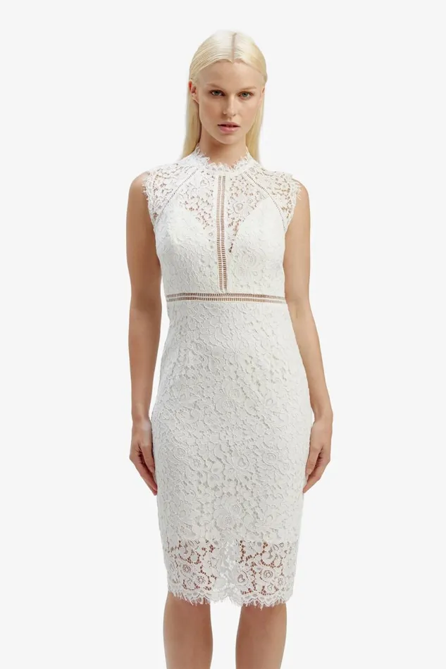 Bardot Occasion Dresses Women Lace Panel Dress In Orchid White Orchid White Bardot Occasion Dresses Women Lace Panel Dress In Orchid White Orchid White