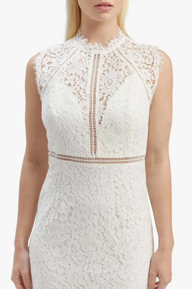 Bardot Occasion Dresses Women Lace Panel Dress In Orchid White Orchid White Bardot Occasion Dresses Women Lace Panel Dress In Orchid White Orchid White