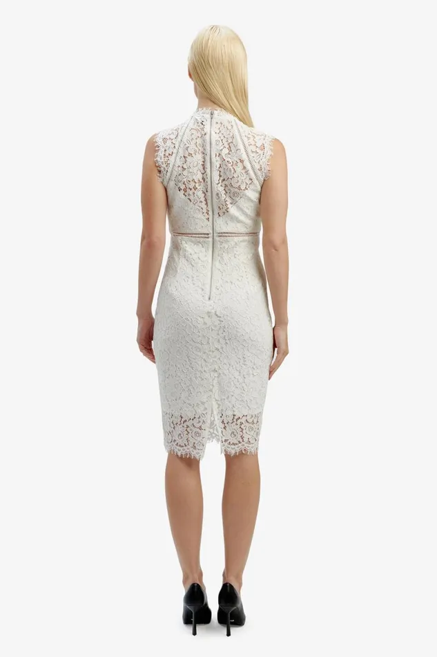 Bardot Occasion Dresses Women Lace Panel Dress In Orchid White Orchid White Bardot Occasion Dresses Women Lace Panel Dress In Orchid White Orchid White