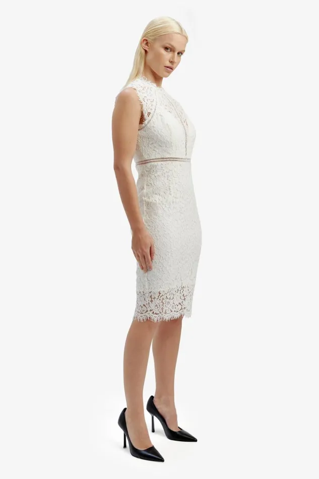 Bardot Occasion Dresses Women Lace Panel Dress In Orchid White Orchid White Bardot Occasion Dresses Women Lace Panel Dress In Orchid White Orchid White