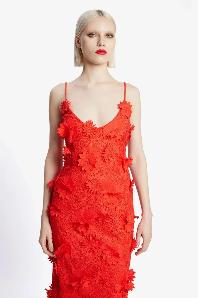Bardot Party Dresses Women Adei Lace Midi Dress In Fire Red Fire Red