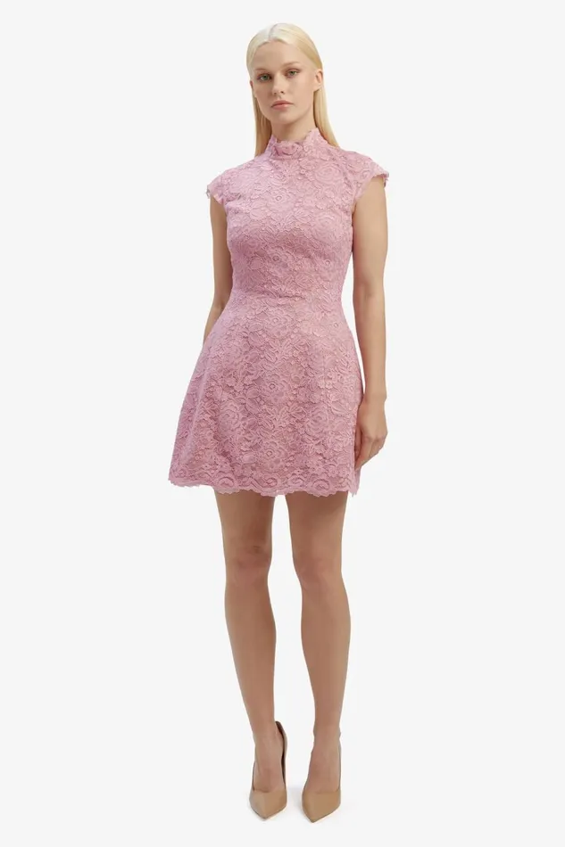 Bardot Party Dresses Women Andrea Lace Mini Dress In Dusty Pink Dusty Pink Bardot Party Dresses Women Andrea Lace Mini Dress In Dusty Pink Dusty Pink