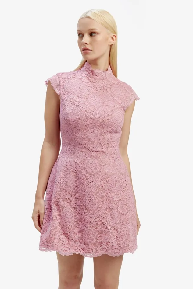 Bardot Party Dresses Women Andrea Lace Mini Dress In Dusty Pink Dusty Pink Bardot Party Dresses Women Andrea Lace Mini Dress In Dusty Pink Dusty Pink