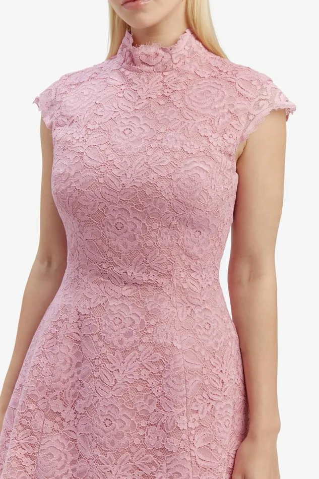 Bardot Party Dresses Women Andrea Lace Mini Dress In Dusty Pink Dusty Pink Bardot Party Dresses Women Andrea Lace Mini Dress In Dusty Pink Dusty Pink