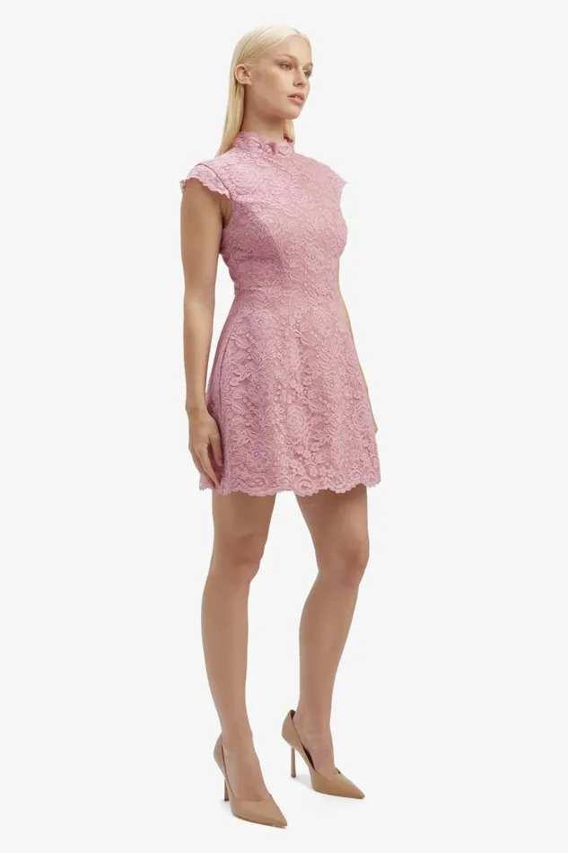 Bardot Party Dresses Women Andrea Lace Mini Dress In Dusty Pink Dusty Pink Bardot Party Dresses Women Andrea Lace Mini Dress In Dusty Pink Dusty Pink
