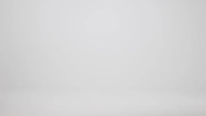 Brahmin Satchels Duxbury Satchel Brindle Moonstone 8211 Women Brahmin Satchels Duxbury Satchel Brindle Moonstone 8211 Women