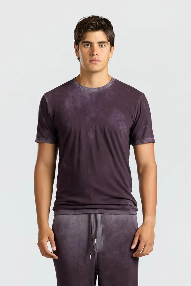COTTON CITIZEN Classic Crewneck Tee Vintage Eggplant Men Tees