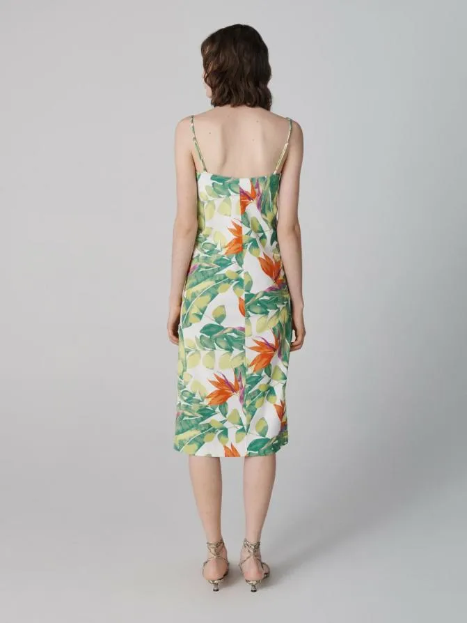 DVF Dresses Roma Dress Birds Of Paradise 8211 Women