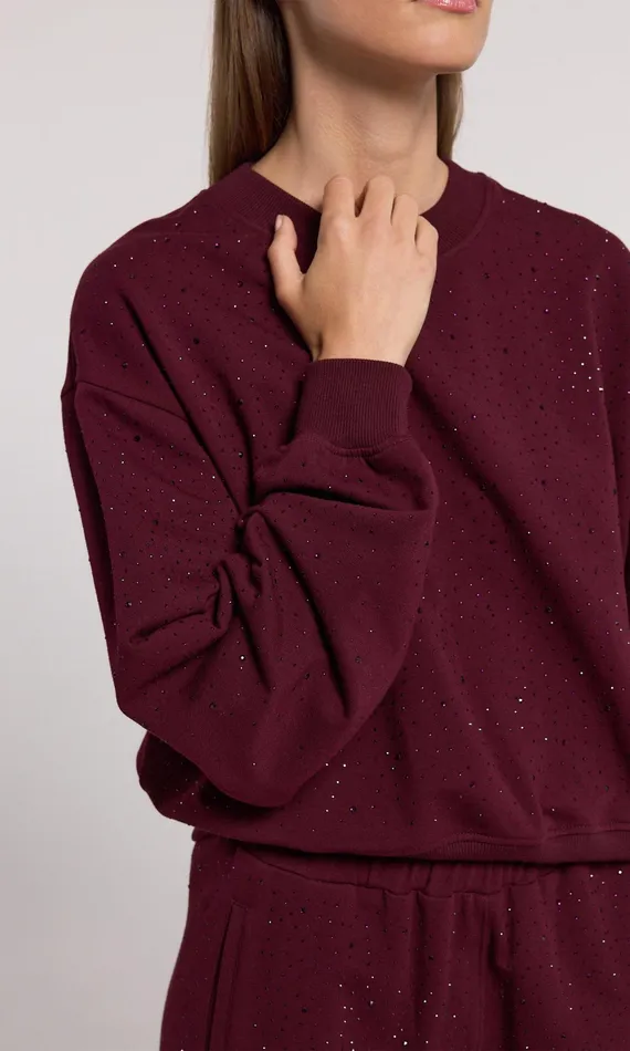 Generation Love Clothing Sweaters and Sweatshirts Women Colby Compact Crystal Sweatshirt Black Cherry