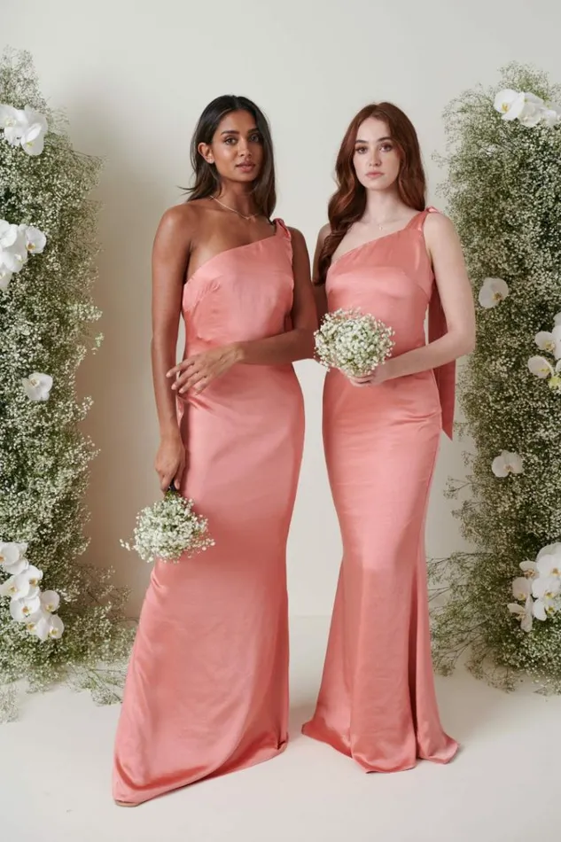 Pretty Lavish Bridesmaid Dresses Amelia Tie Maxi Bridesmaid Dress Apricot Pink 8211 Women Pretty Lavish Bridesmaid Dresses Amelia Tie Maxi Bridesmaid Dress Apricot Pink 8211 Women