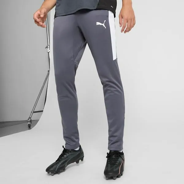Puma Pants Speed Update 039s Soccer Pants Galactic Graypuma White 8211 Men