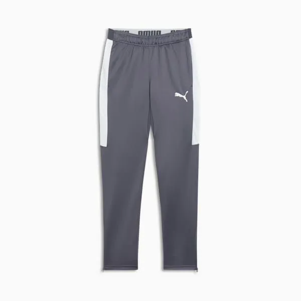 Puma Pants Speed Update 039s Soccer Pants Galactic Graypuma White 8211 Men