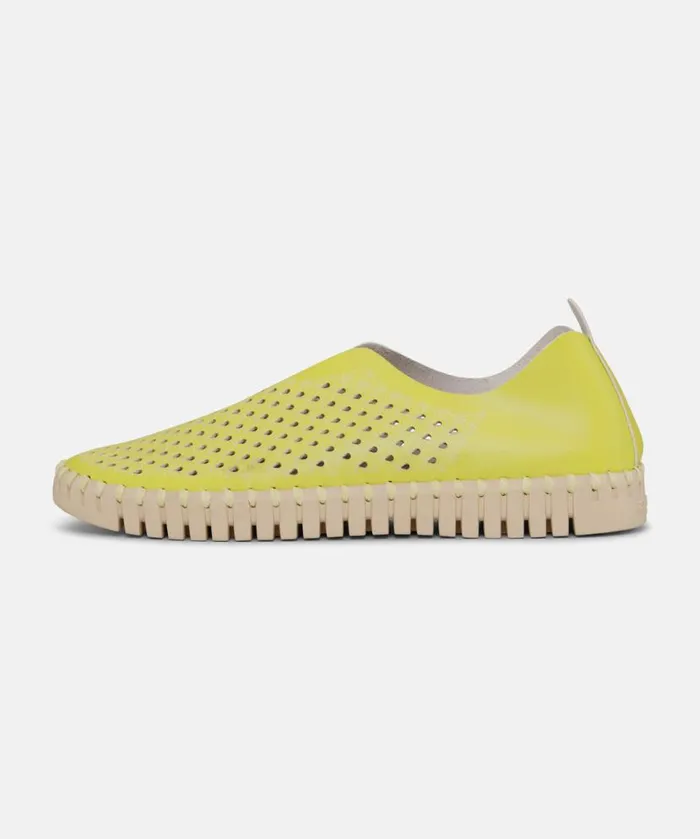 Shoes Ilse Jacobsen Tulip Flats Flats 8211 Sunbeam Shoes Ilse Jacobsen Tulip Flats Flats 8211 Sunbeam