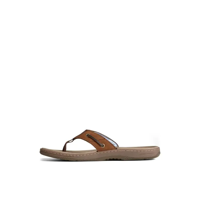 Sperry Sandals Baitfish Leather Flip Flop Brown Leather Mixed Material 8211 Men