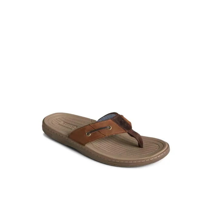 Sperry Sandals Baitfish Leather Flip Flop Brown Leather Mixed Material 8211 Men