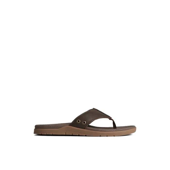 Sperry Sandals Santa Cruz II Thong Sandal Brown 8211 Men