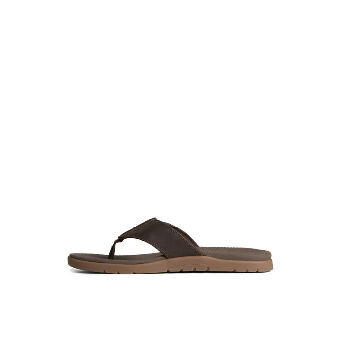 Sperry Sandals Santa Cruz II Thong Sandal Brown 8211 Men