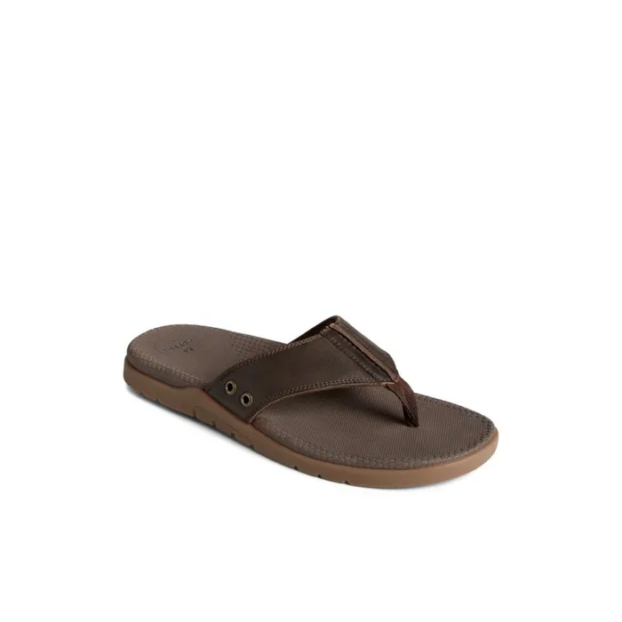 Sperry Sandals Santa Cruz II Thong Sandal Brown 8211 Men