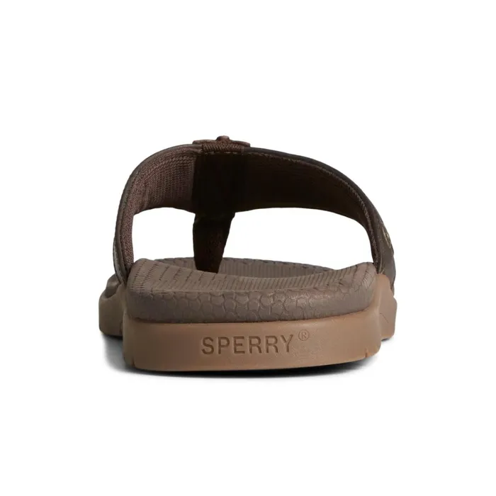 Sperry Sandals Santa Cruz II Thong Sandal Brown 8211 Men