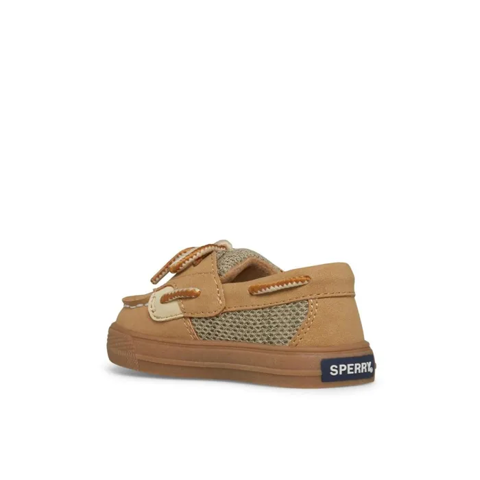 Sperry Sneakers Intrepid II Crib Brown 8211 Kids