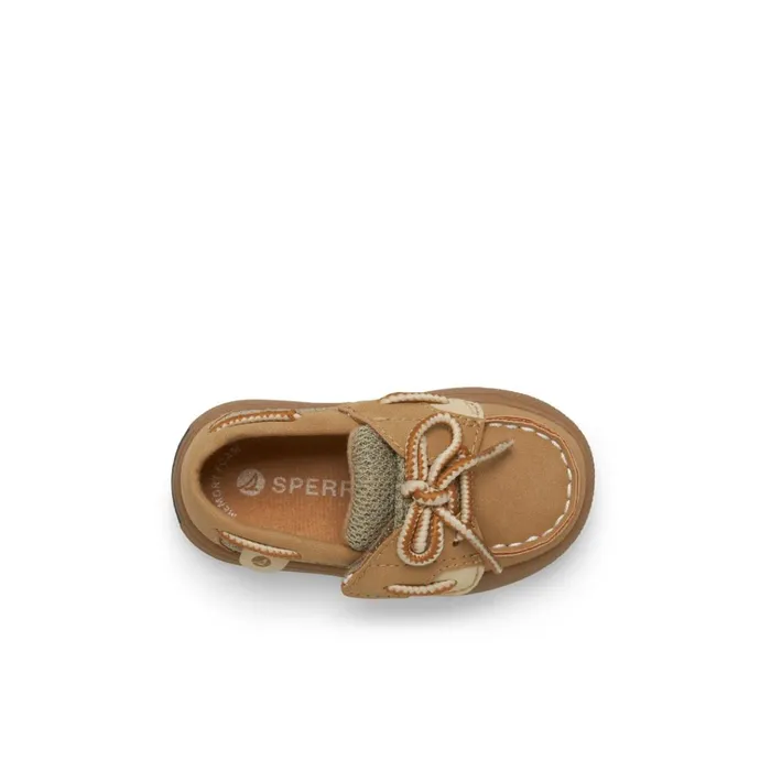 Sperry Sneakers Intrepid II Crib Brown 8211 Kids