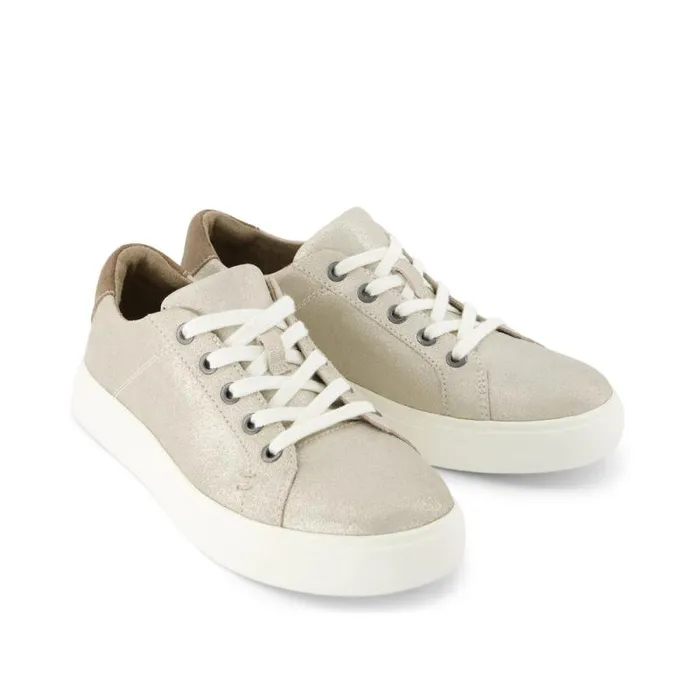 Toms Sneakers Kameron LaceUp Sneaker Metallic Champagne Suede 8211 Women Toms Sneakers Kameron LaceUp Sneaker Metallic Champagne Suede 8211 Women