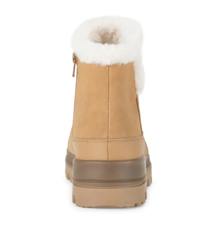 Women Baretraps Booties Noemi Cold Weather Bootie Cognac Women Baretraps Booties Noemi Cold Weather Bootie Cognac