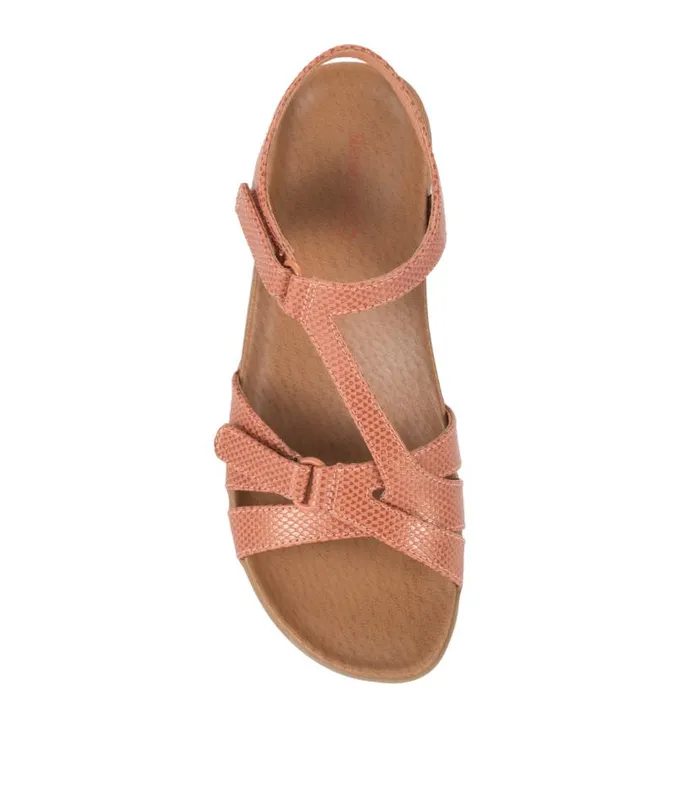 Women Baretraps Wedge Sandals Gidget Sandal Ginger Women Baretraps Wedge Sandals Gidget Sandal Ginger