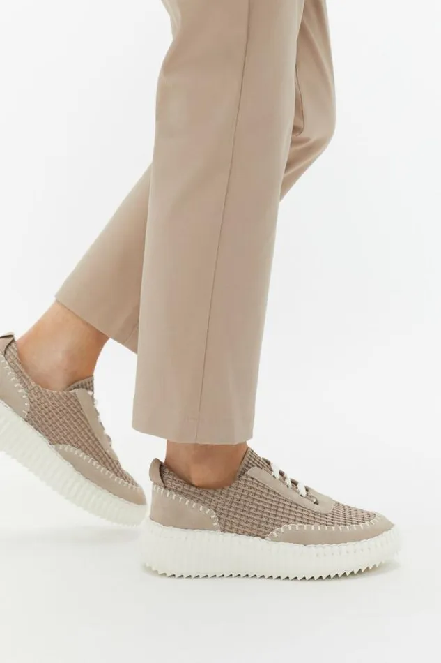 Women Flats Seed Heritage Brielle Knit Sneaker Cookie