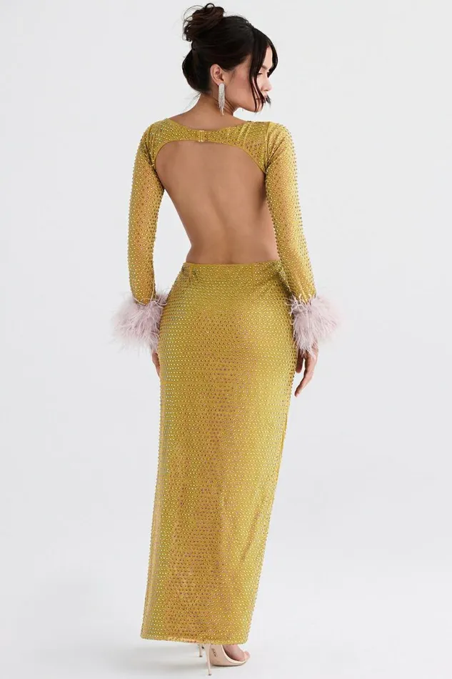 Women Gina Chartreuse Crystallised Maxi Dress House Of CB Dresses