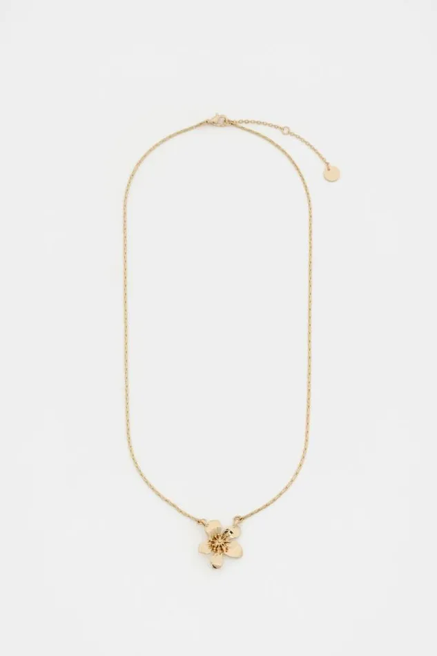 Women Jewellery Seed Heritage Wildflower Necklace Gold